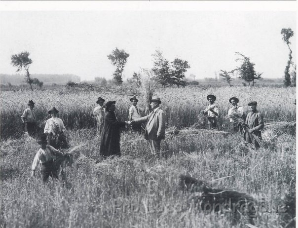 1927 - Mietitura - Don Giuseppe Aversano e Carlino Manna.jpg